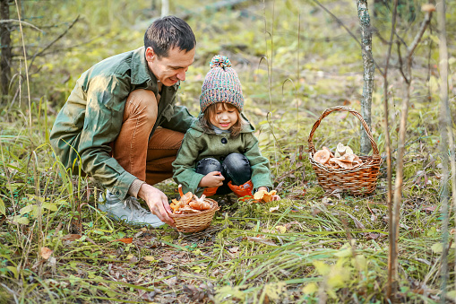 Father and daughter picking mushrooms in the forest.Father and daughter picking mushrooms in the forest.Father and daughter picking mushrooms in the forest.Father and daughter picking mushrooms in the forest.