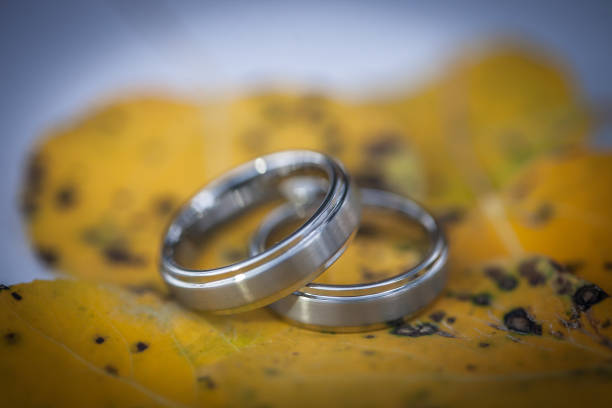 Gay Marriage Rings stock photo