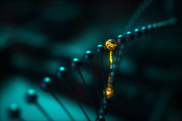 DNA-Nahaufnahme 3D