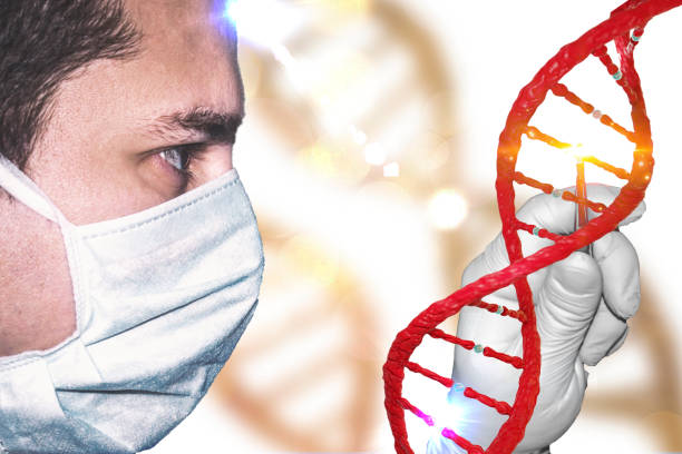 Gene Manipulation concept with lab technician laboratory doctor with gloved hand manipulating genome scientist and DNA stock photo