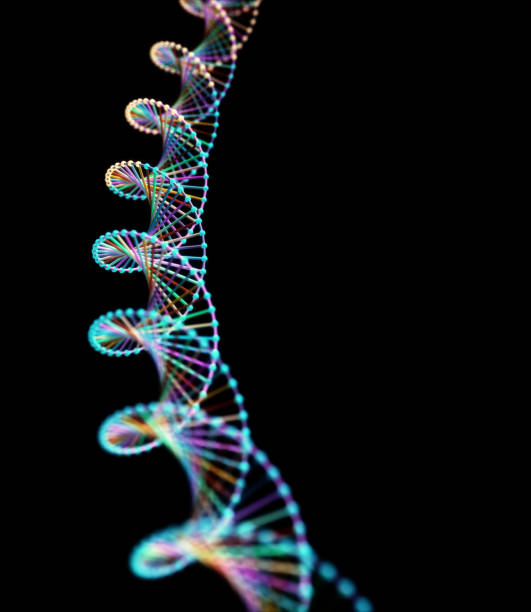 Genetic Code DNA Concept stock photo