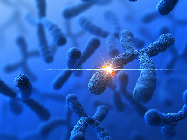 Genetic Modification Genetics background. 3D render. chromosome stock pictures, royalty-free photos & images