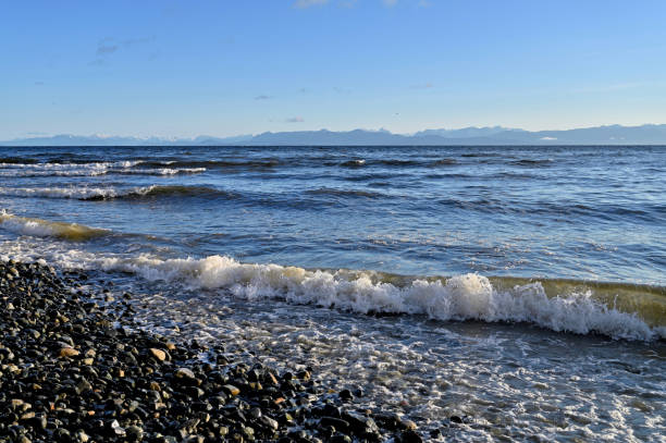 Gentle Sea A beautiful view looking at the gentle waves splashing along the coastline during low tide along the shores of Vancouver Island. low tide stock pictures, royalty-free photos & images