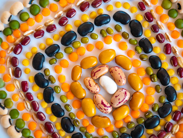 Geometric composition of green and red azuki beans, Spanish beans, brown beans, cannellini beans, tondini beans, borlotti beans, great northern beans, black beans, black eye beans, salugia beans, sorcerer beans, lentils la stock photo
