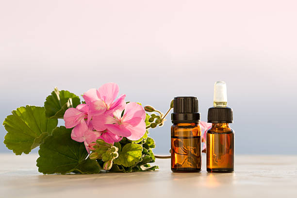 Essential organic oil of rose geranium