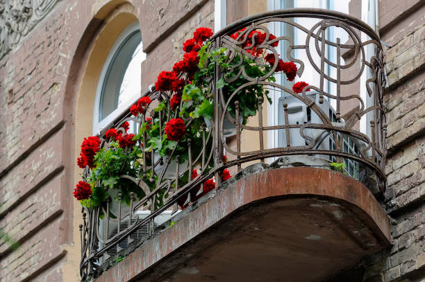 Geranium on old ornate balcony on old building facade in Kyiv Ukraine stock photo