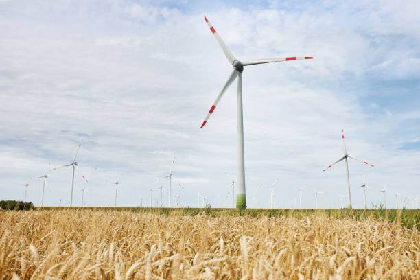 deutsche windkraftanlagen in der natur auf maisfeldern und wiesen tagsüber unter beeindruckendem himmel fotografiert - windräder stock-fotos und bilder