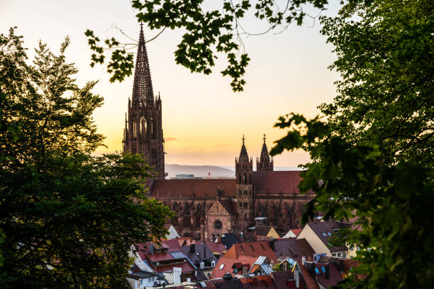 독일, 유명한 고대 뮌스터 또는 고딕 양식의 건축 양식의 대성당 건물은 따뜻한 오렌지 일몰 저녁 빛에 도시 프라이 부르크 임 breisgau의 지붕 위의 나무의 녹색 잎을 통해 볼 - freiburg 뉴스 사진 이미지