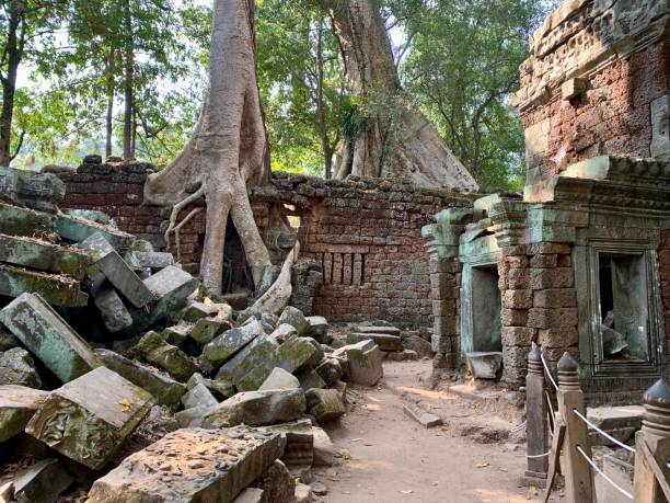 Giant Tree Roots Growing Over Ta Prohm Temple, Angkor Wat, Cambodia stock photo