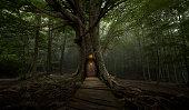 istock Gigantic tree with house inside 1339258343