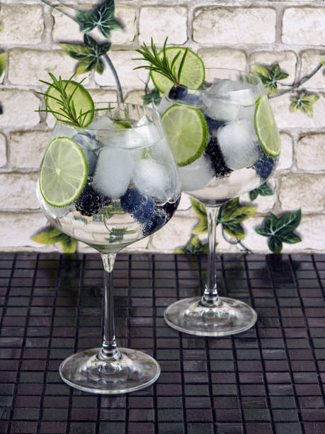 Gin tonic in a balloon glass or copa stock photo