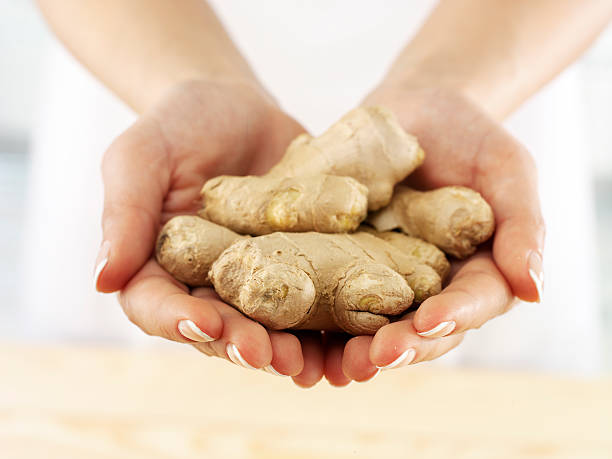 ginger roots woman holding fresh ginger ginger spice stock pictures, royalty-free photos & images