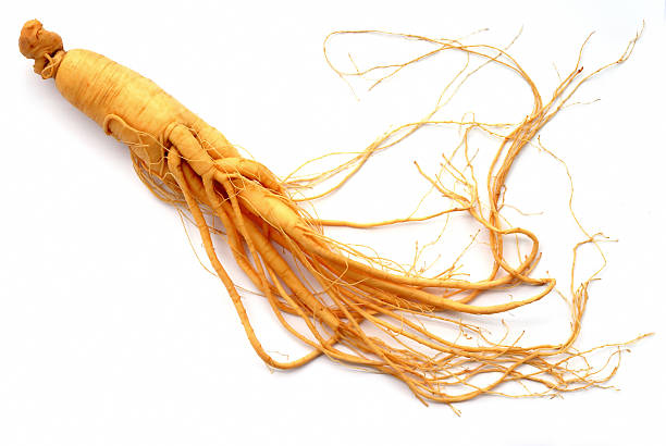 Ginseng Fresh ginseng on the white. ginseng root stock pictures, royalty-free photos & images