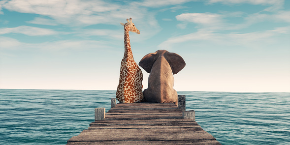 Giraffe sitting next to an elephant on wooden deck. Thio is a 3d render illustration