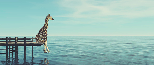Giraffe sitting on a wooden deck at the ocean . This is a 3d render illustration .