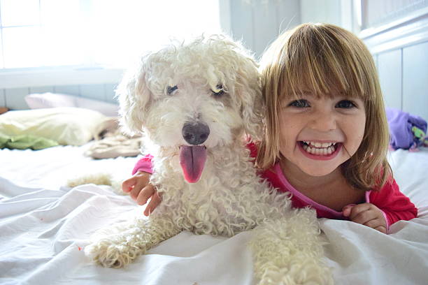 女の子のベストフレンドと彼女の - 犬　少女 ストックフォトと画像