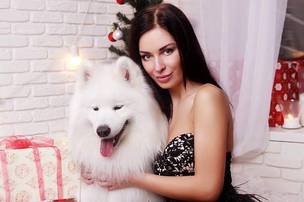 Girl and white dog near a Christmas tree young beautiful woman wearing white sweater lying near a Christmas tree with dogs.Husky beautiful young brunette girl playing with her dog stock pictures, royalty-free photos & images