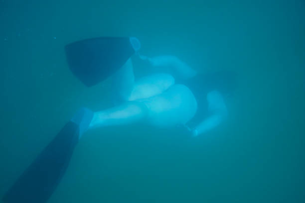 카보 산 루카스 근처 스노클링 하는 동안 다이빙을 하는 여자 - has san hawkins 뉴스 사진 이미지