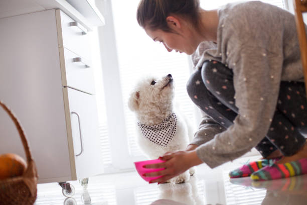 집에서 강아지에 게 물을 주는 소녀 - 먹이기 뉴스 사진 이미지