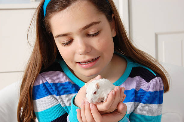 girl holding gerbo - gerbils fotografías e imágenes de stock