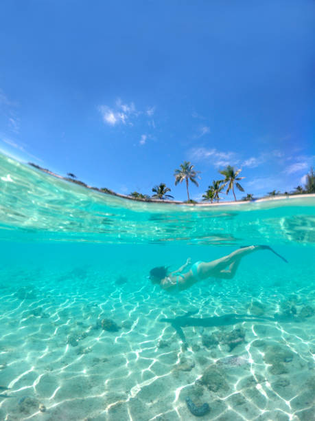 połowa pod wodą: dziewczyna w turkusowym bikini nurkuje obok pięknej piaszczystej plaży. - cook islands zdjęcia i obrazy z banku zdjęć