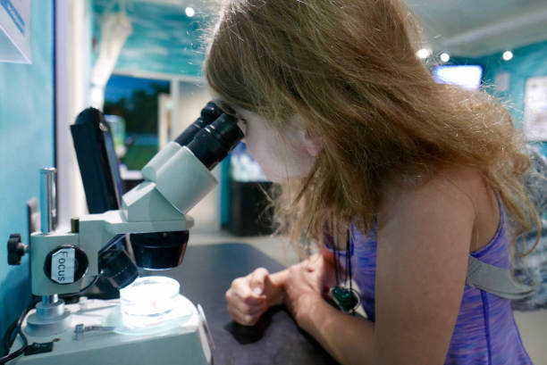 Girl looking through a microscope stock photo