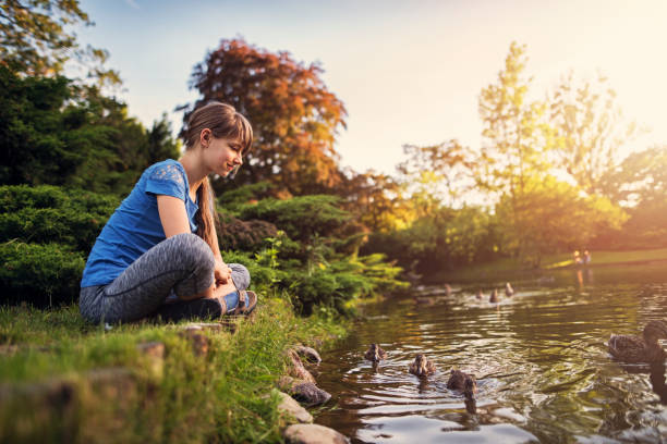 Photo of Girl observing ducks swimming in the city park