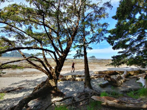 Girl Playing on Rope Swing on Neah Bay Beach, Washington  neah bay stock pictures, royalty-free photos & images