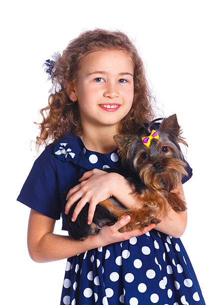 Girl playing with her yorkshire terrier stock photo