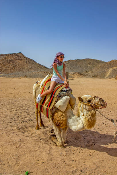 Girl riding camel in the Egyptian desert Girl riding camel in the Egyptian desert hot arabic girl stock pictures, royalty-free photos & images