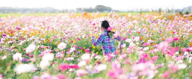 花畑で走っている少女 - ピクニック ストックフォトと画像