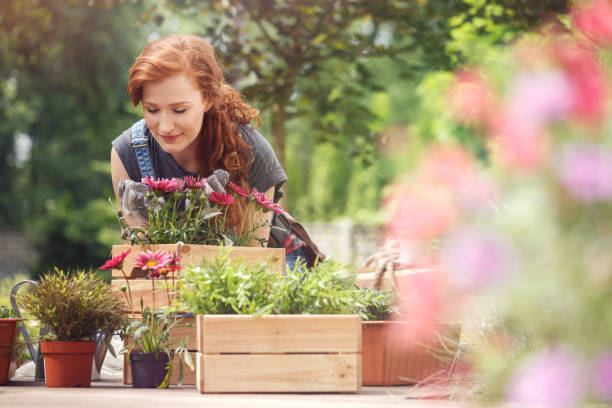 Girl smelling red flowers Red-haired girl smelling red flowers in wooden box while relaxing in the garden on a sunny day gardening stock pictures, royalty-free photos & images