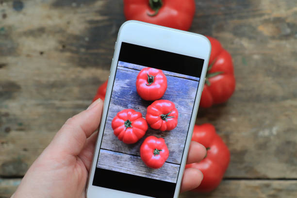 flicka ta bild av färska tomater - fotografi bild bildbanksfoton och bilder