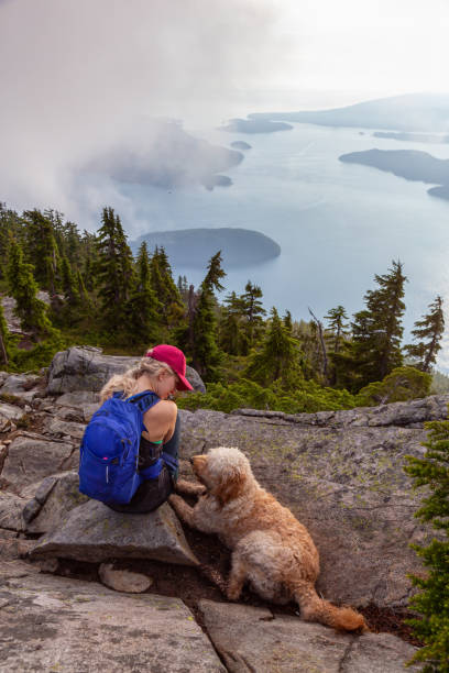 Girl with a Dog hiking on a Mountain Adventurous Girl is hiking with a dog on top of Unnecessary Mountain during a sunny and cloudy summer day. Located in West Vancouver, British Columbia, Canada. west vancouver stock pictures, royalty-free photos & images
