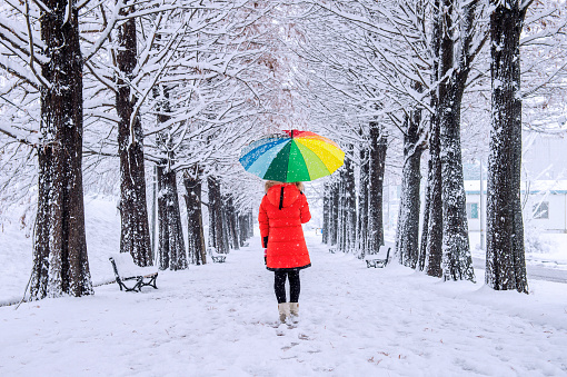 Girl with colourful umbrella walking on the path