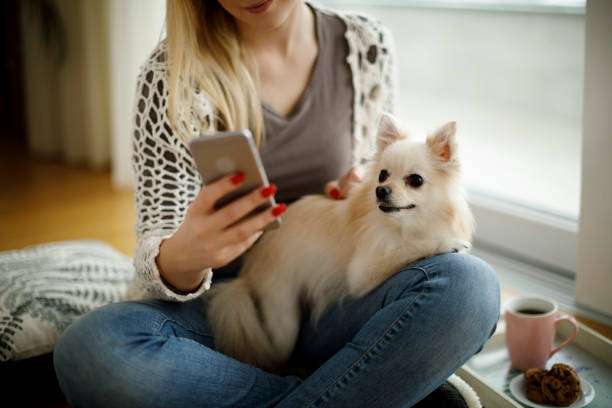 Girl with dog and mobile phone sitting on the floor stock photo