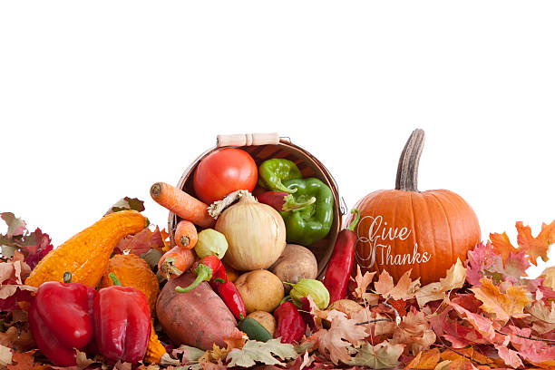 Give Thanks - Thanksgiving Theme stock photo