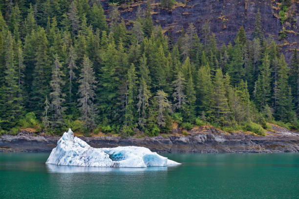 Glacial Ice in Endicott Arm Alaska stock photo