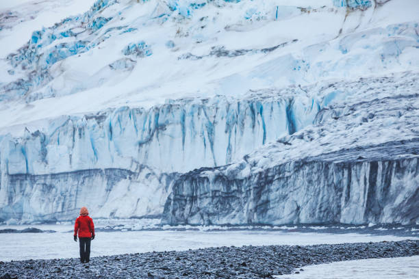 gletsjer in antarctica, prachtig landschap van livingston island in south shetland - antarctica stockfoto's en -beelden