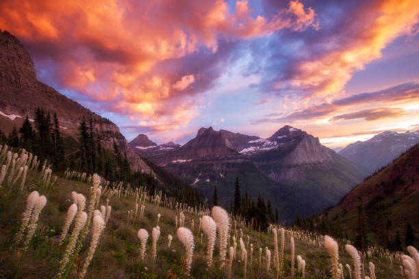 Glacier National Park - Highline Trail with Mount Oberline Sunset The clouds above Mount Oberline glow crimson and orange during this spectacular summer sunset on the the Highline Trail at Logan Pass in Glacier National Park, Montana montana western usa stock pictures, royalty-free photos & images