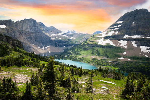Glacier National Park, Montana, USA View of Glacier Park in the Rocky Mountains, Montana montana western usa stock pictures, royalty-free photos & images