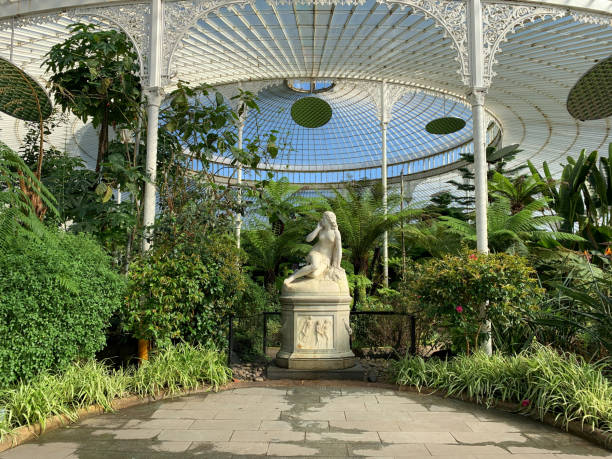 Glasgow Botanic Gardens, public glasshouse stock photo