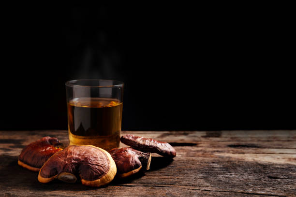 Glass of reishi tea and dried Lingzhi mushroom on dark wooden floor. stock photo