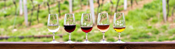 Glasses with wine. Red, pink, white wine in glasses. stock photo