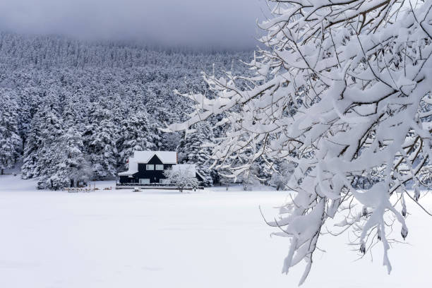 Gölcük Nature Park in Winter, Bolu, Turkey stock photo