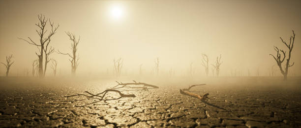 global warming and drought. thirst. post apocalyptic world. stock photo