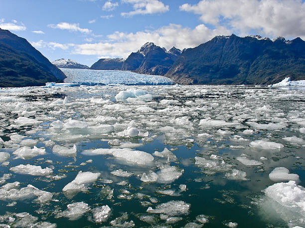 Global Warming  antarctica photos stock pictures, royalty-free photos & images