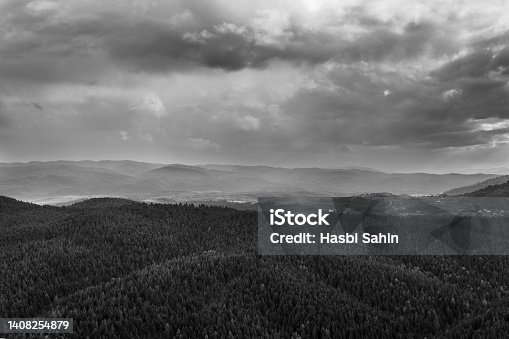 istock Gloomy sky and forest landscape. 1408254879