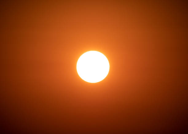 Photo of A Glorious Bronze Isolated Sunrise