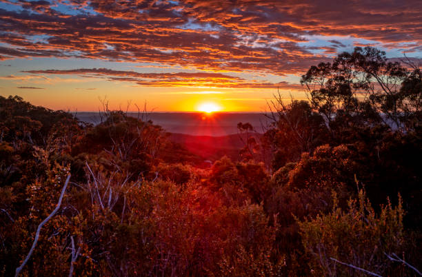 Glorious sunrise with views across wilderness mountain bushland Glorious morning sunrise views across mountain bushland and across to distant ranges. bush land photos stock pictures, royalty-free photos & images